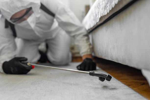 Professional Termite Control technician working in East Chicago, IN