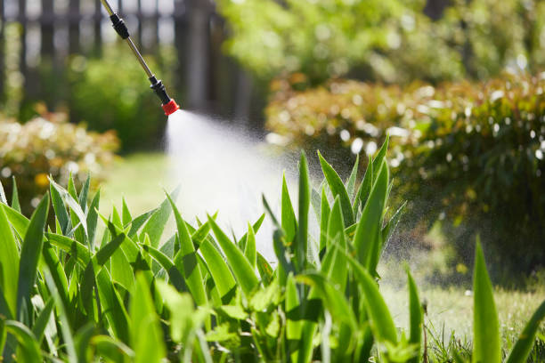 24/7 Emergency Termite Control experts in East Chicago, IN