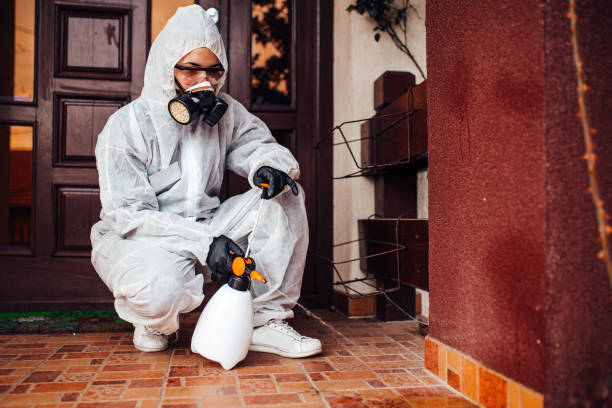 Reliable Termite Control contractor in East Chicago, IN by Nex Pest Control