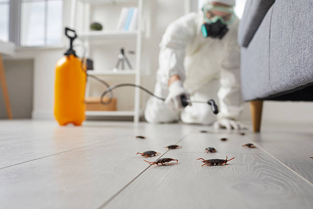 Trusted Cockroach Control service in East Chicago, IN - Nex Pest Control